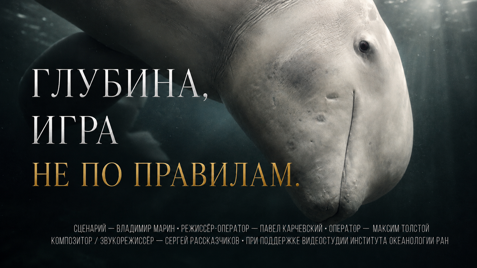 Обложка: Глубина — Игра не по правилам