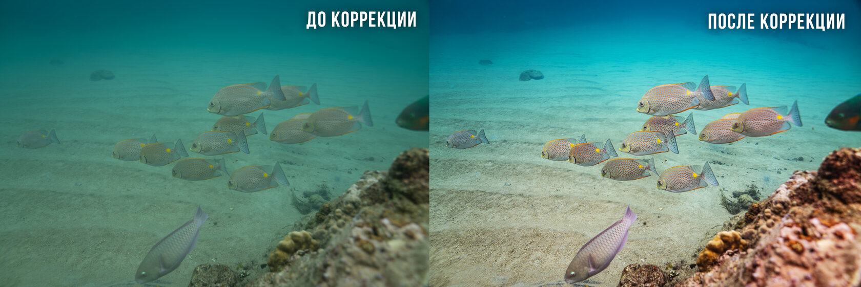 Фото под водой до цветокоррекции и после