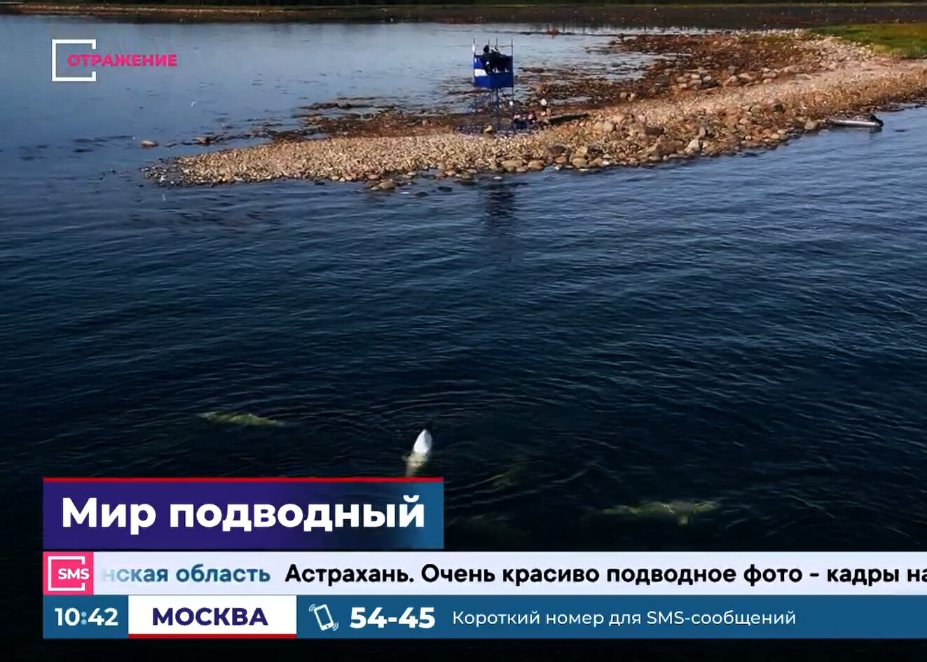 Подводная съемка документального кино - интервью ОТР