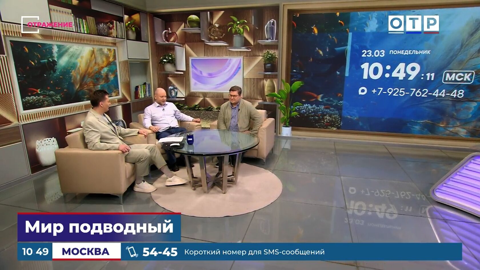 Подводная съемка дикой природы — белухи исследуют камеру