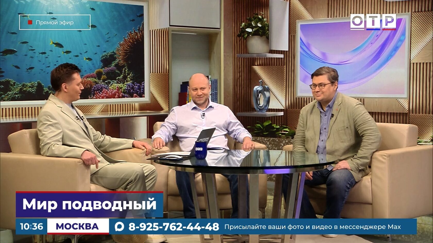 Съемка под водой в Белом море — документальный фильм о белухах